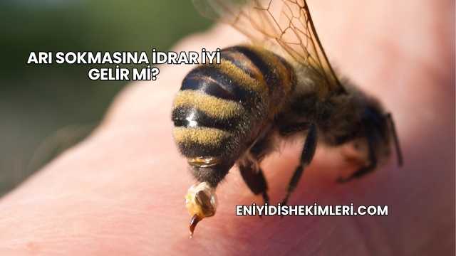 Arı Sokmasına İdrar İyi Gelir mi?