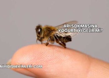 Arı Sokmasına Yoğurt İyi Gelir mi?