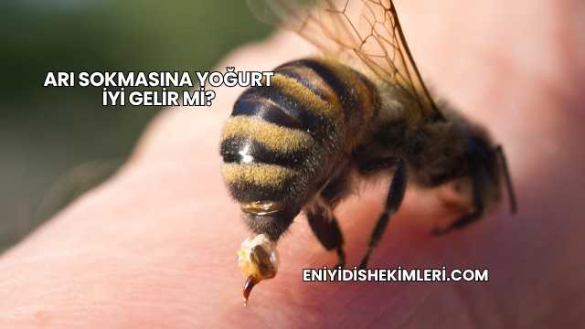 Arı Sokmasına Yoğurt İyi Gelir mi?