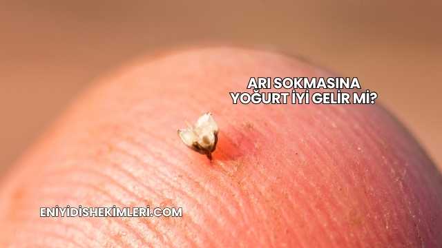 Arı Sokmasına Yoğurt İyi Gelir mi?