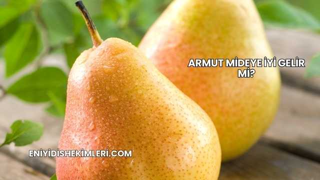 Armut Mideye İyi Gelir mi?