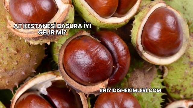 At Kestanesi Basura İyi Gelir mi?