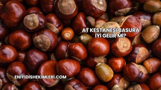 At Kestanesi Basura İyi Gelir mi?