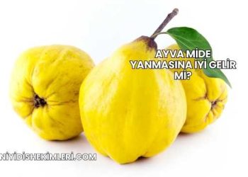 Ayva Mide Yanmasına İyi Gelir mi?