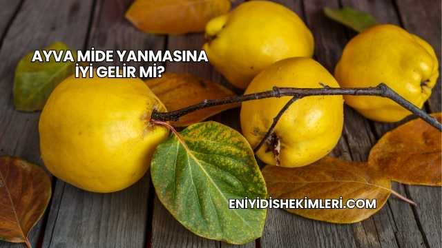 Ayva Mide Yanmasına İyi Gelir mi?