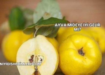 Ayva Mideye İyi Gelir mi?