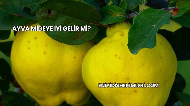Ayva Mideye İyi Gelir mi?