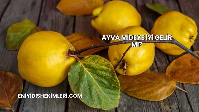 Ayva Mideye İyi Gelir mi?