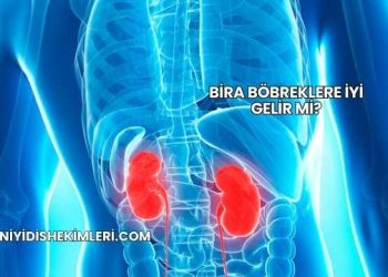 Bira Böbreklere İyi Gelir mi?
