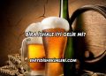Bira İshale İyi Gelir mi?