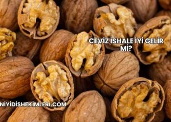Ceviz İshale İyi Gelir mi?
