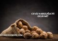 Ceviz Kabızlığa İyi Gelir mi?