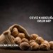 Ceviz Kabızlığa İyi Gelir mi?