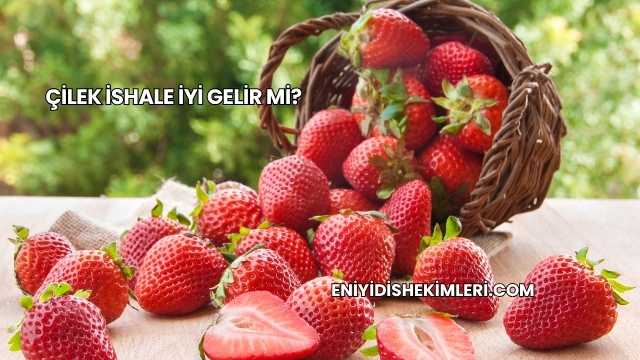 Çilek İshale İyi Gelir mi?