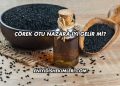 Çörek Otu Nazara İyi Gelir mi?