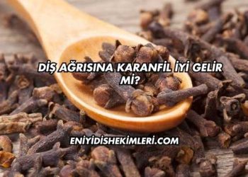Diş Ağrısına Karanfil İyi Gelir mi?
