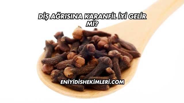 Diş Ağrısına Karanfil İyi Gelir mi?