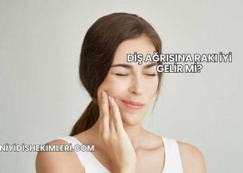 Diş Ağrısına Rakı İyi Gelir mi?
