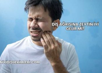 Diş Ağrısına Zeytin İyi Gelir mi?