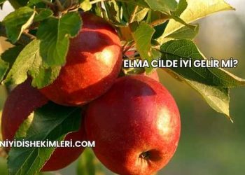 Elma Cilde İyi Gelir mi?