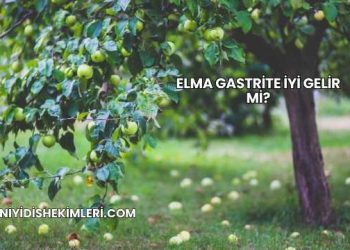 Elma Gastrite İyi Gelir mi?