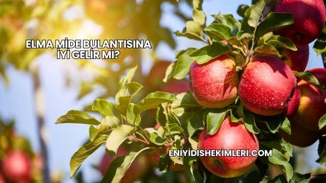 Elma Mide Bulantısına İyi Gelir mi?