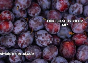 Erik İshale İyi Gelir mi?
