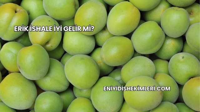 Erik İshale İyi Gelir mi?