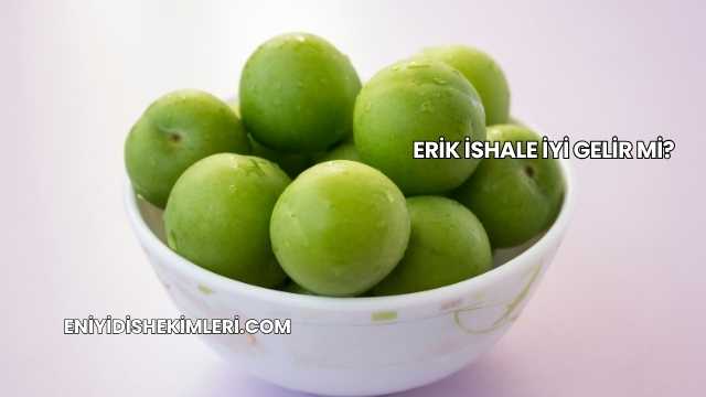 Erik İshale İyi Gelir mi?