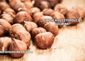 Fındık Kolesterole İyi Gelir mi?