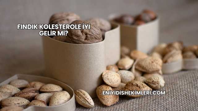 Fındık Kolesterole İyi Gelir mi?