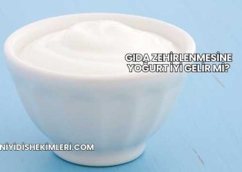 Gıda Zehirlenmesine Yoğurt İyi Gelir mi?