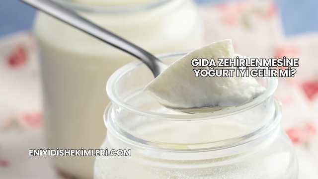 Gıda Zehirlenmesine Yoğurt İyi Gelir mi?
