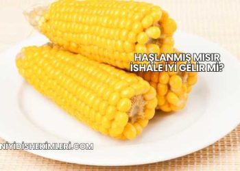 Haşlanmış Mısır İshale İyi Gelir mi?