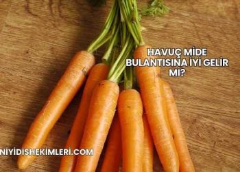 Havuç Mide Bulantısına İyi Gelir mi?