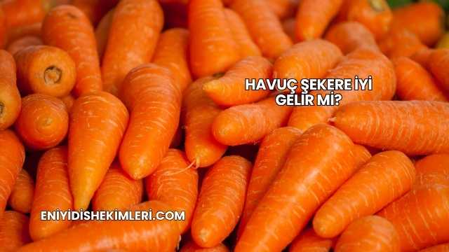 Havuç Şekere İyi Gelir mi?
