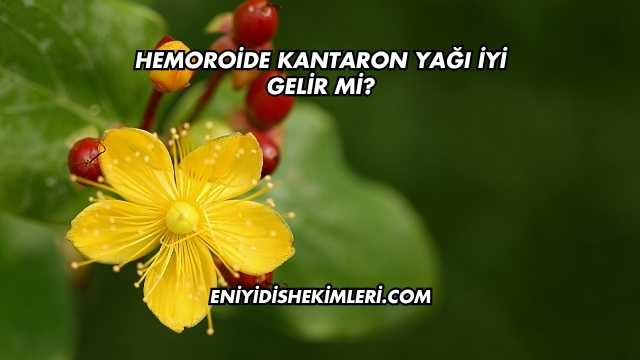 Hemoroide Kantaron Yağı İyi Gelir mi?