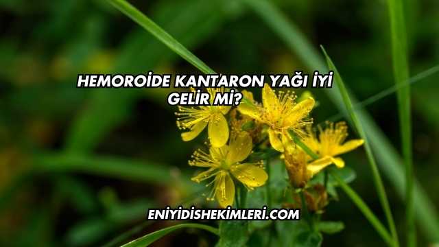 Hemoroide Kantaron Yağı İyi Gelir mi?