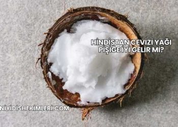 Hindistan Cevizi Yağı Pişiğe İyi Gelir mi?