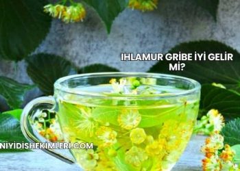 Ihlamur Gribe İyi Gelir mi?