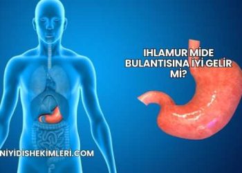 Ihlamur Mide Bulantısına İyi Gelir mi?