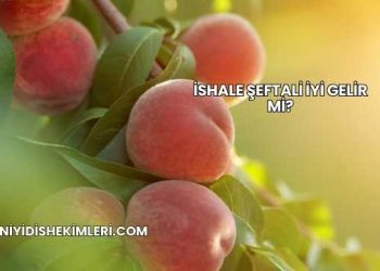 İshale Şeftali İyi Gelir mi?