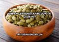 Kabak Çekirdeği Kabızlığa İyi Gelir mi?