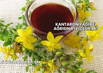 Kantaron Yağı Bel Ağrısına İyi Gelir mi?