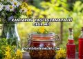 Kantaron Yağı Egzamaya İyi Gelir mi?