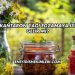 Kantaron Yağı Egzamaya İyi Gelir mi?