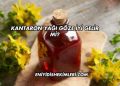 Kantaron Yağı Göze İyi Gelir mi?