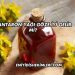 Kantaron Yağı Göze İyi Gelir mi?