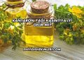Kantaron Yağı Kaşıntıya İyi Gelir mi?