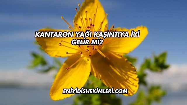 Kantaron Yağı Kaşıntıya İyi Gelir mi?
